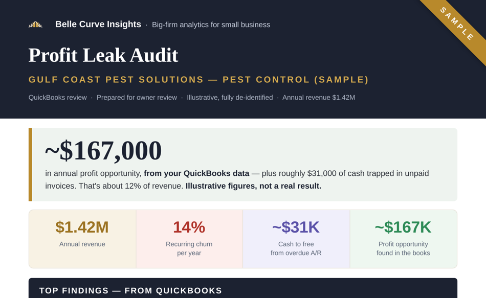 Sample service-business Profit Leak Audit