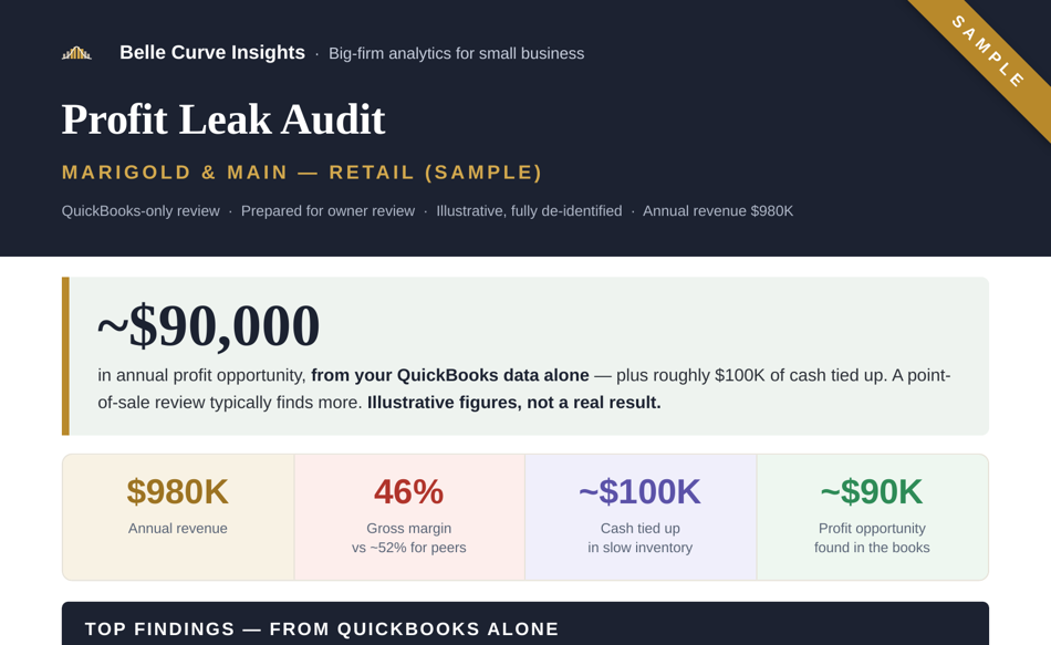Sample retail Profit Leak Audit
